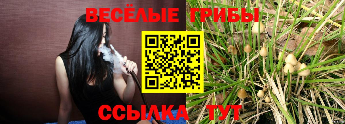 Галлюциногенные грибы Cubensis Кемерово